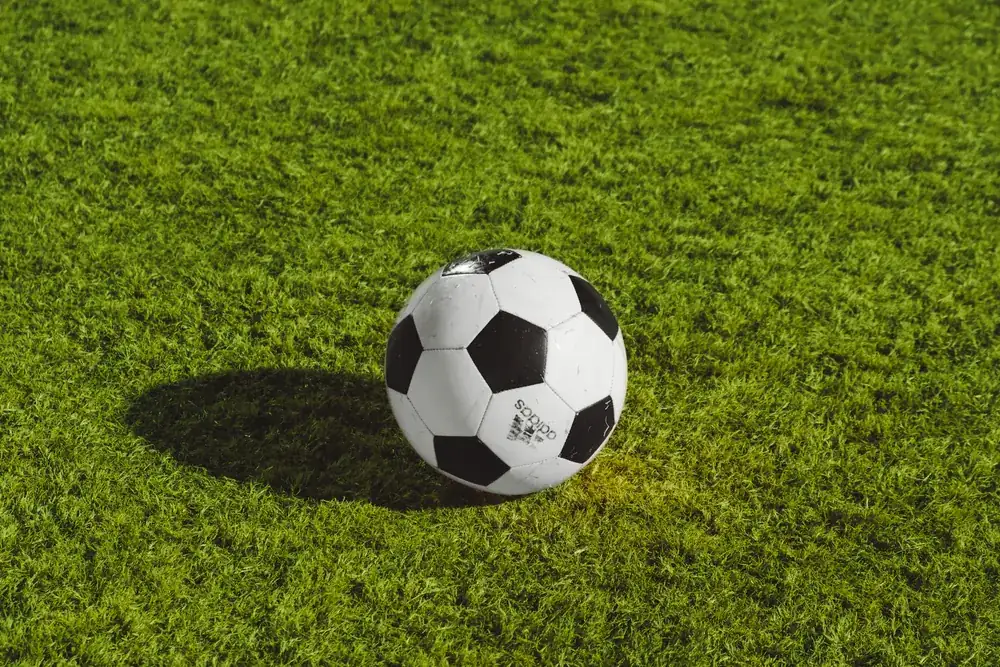Nouveau module : la gestion des stages sportifs